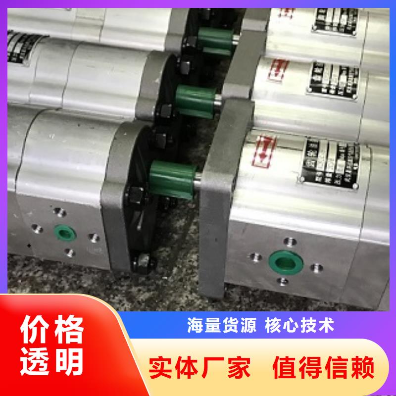 專業(yè)銷售齒輪泵-大型廠家