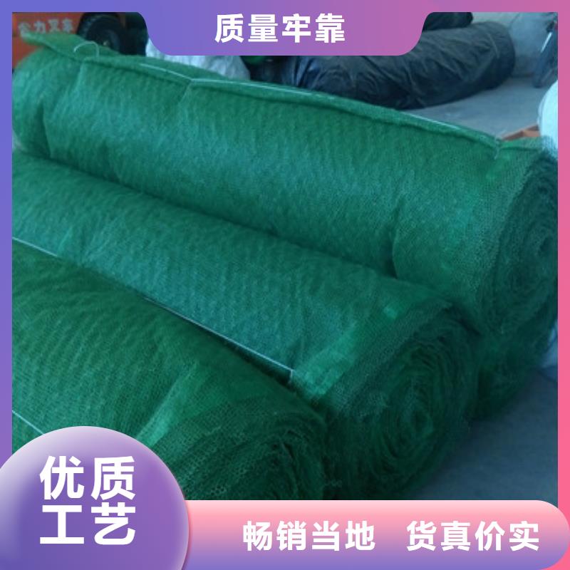 三维植被网生产厂家有样品