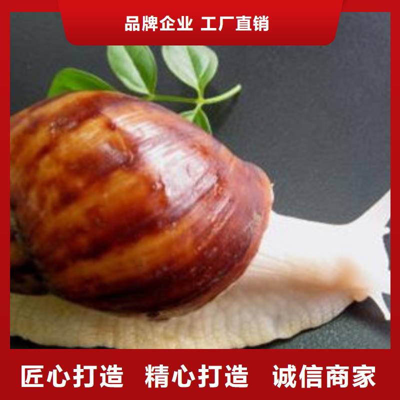 無醇燃料全網低價