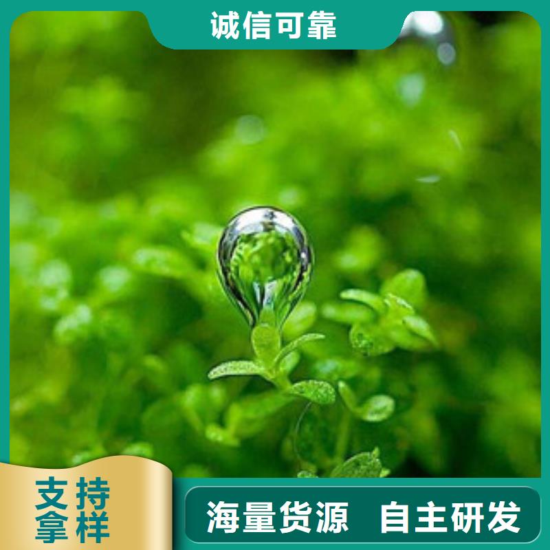 卖无醇燃料的批发商