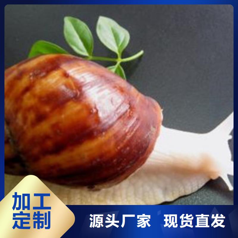 植物油1工廠