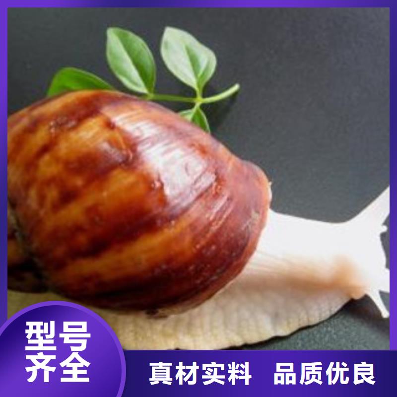 定制植物油1廠家