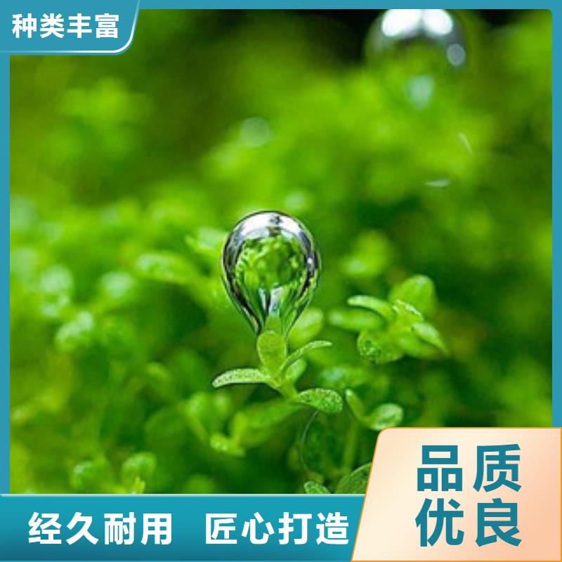 植物油3实体大厂