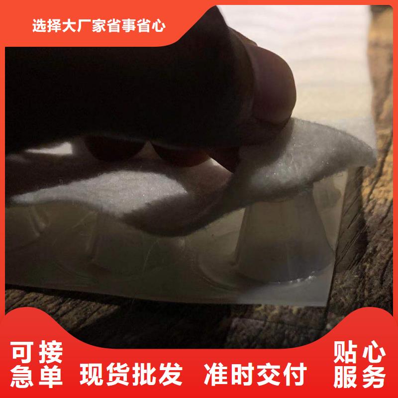 复合排水板厂家规格齐全