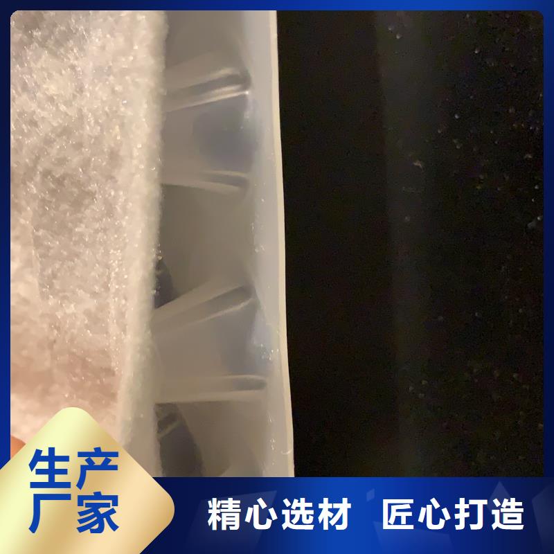 复合排水板型号齐全