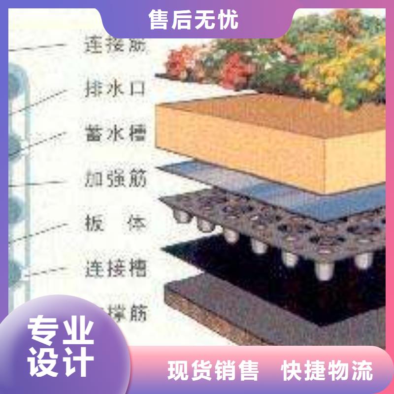 采购排水板_认准道宜明新材料科技有限公司_值得信赖