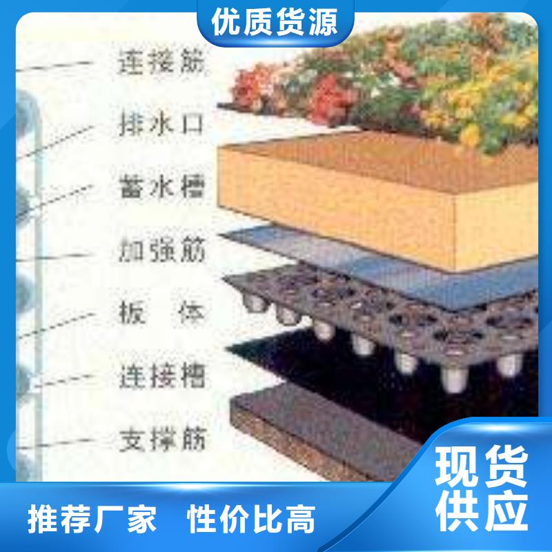 找排水板厂家直销