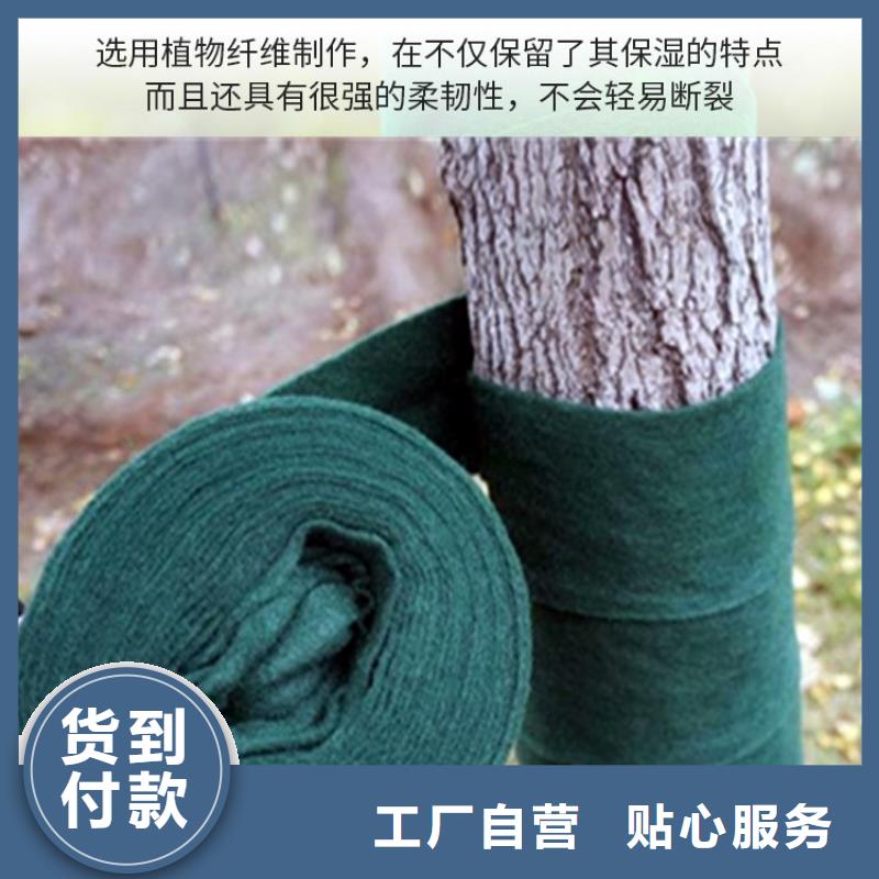 缠树带生产厂家-缠树带大树专用一卷18米(18CM宽)