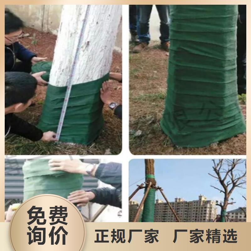 缠树带实力工厂放心选购