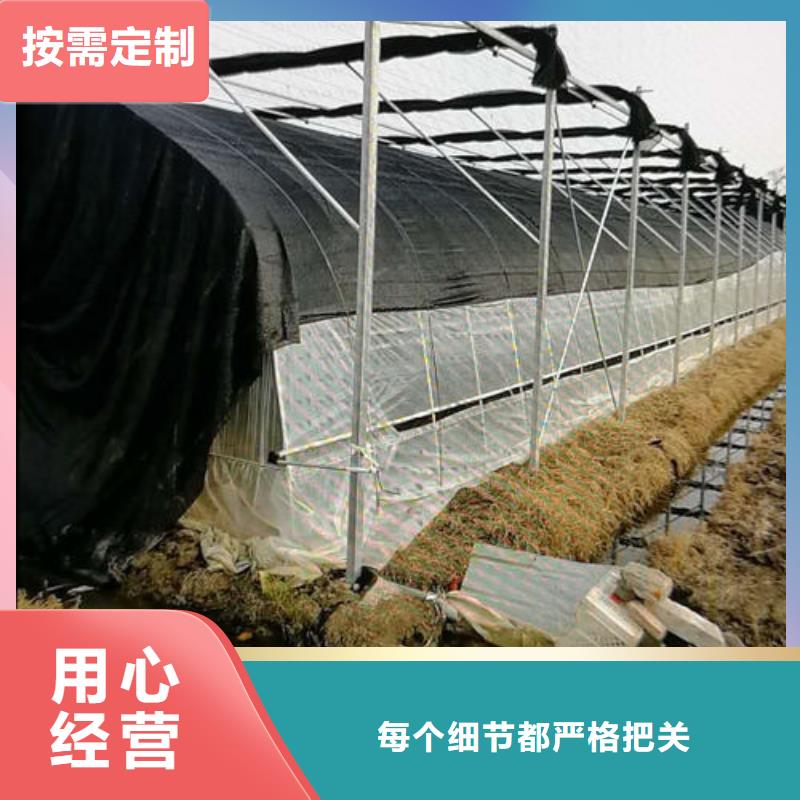 安装搭建大棚棉被设计方案