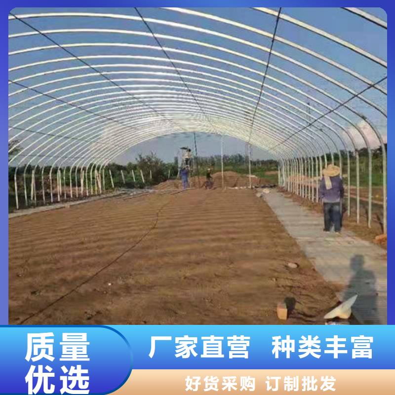 质量可靠的温室大棚管厂商