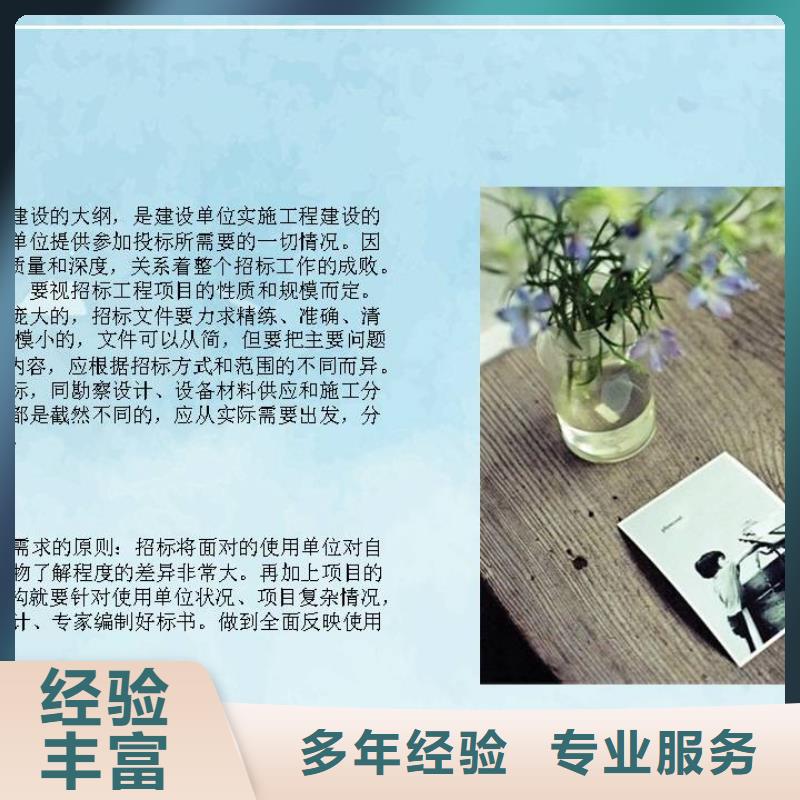 项目建议书公司做的好的