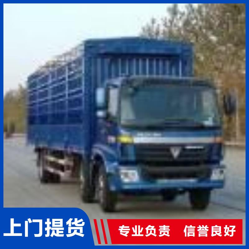 恩平至乌鲁木齐物流公司一货运专车