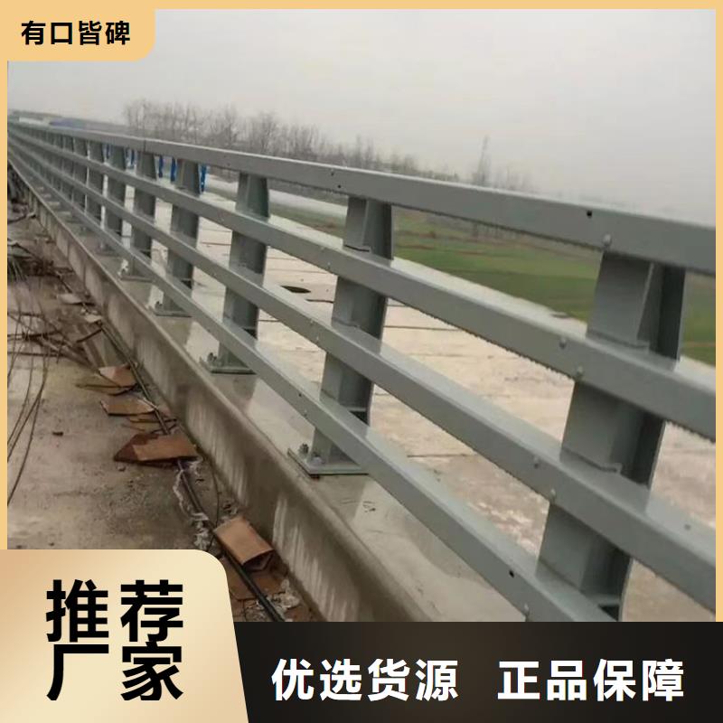 道路灯光护栏信誉保证