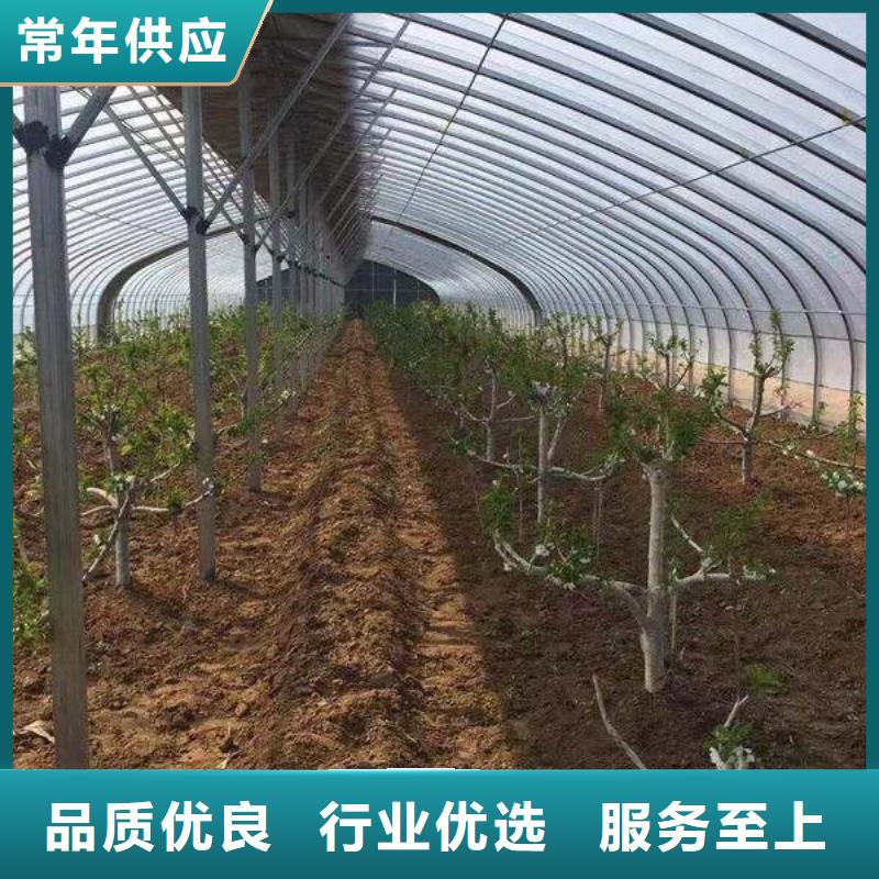 茌平县蔬菜大棚骨架