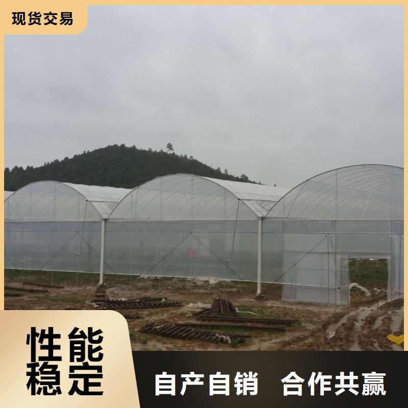 渭源大棚管大棚钢架种植企业直供