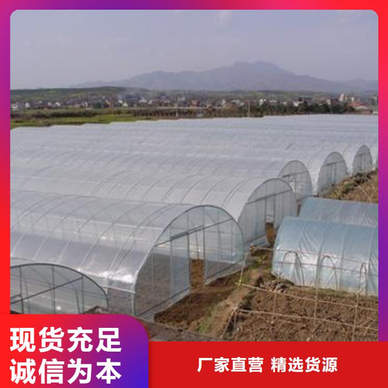 蔬菜大棚2024畅销新品