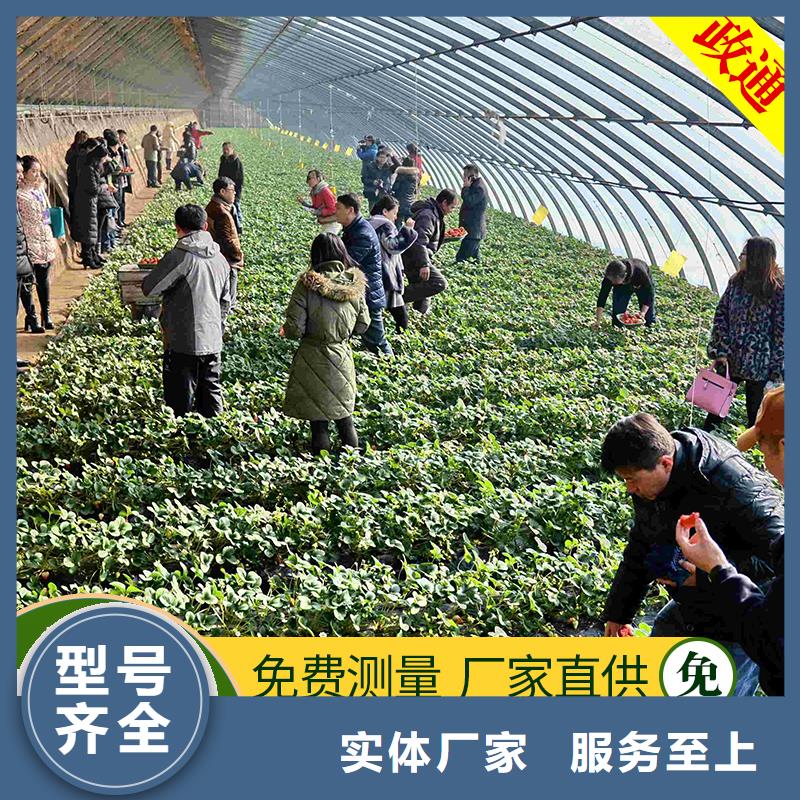 塑料大棚膜哪里批发