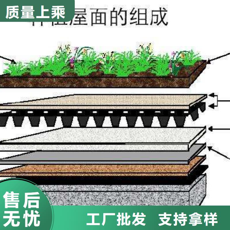 虹吸排水系统贴心售后