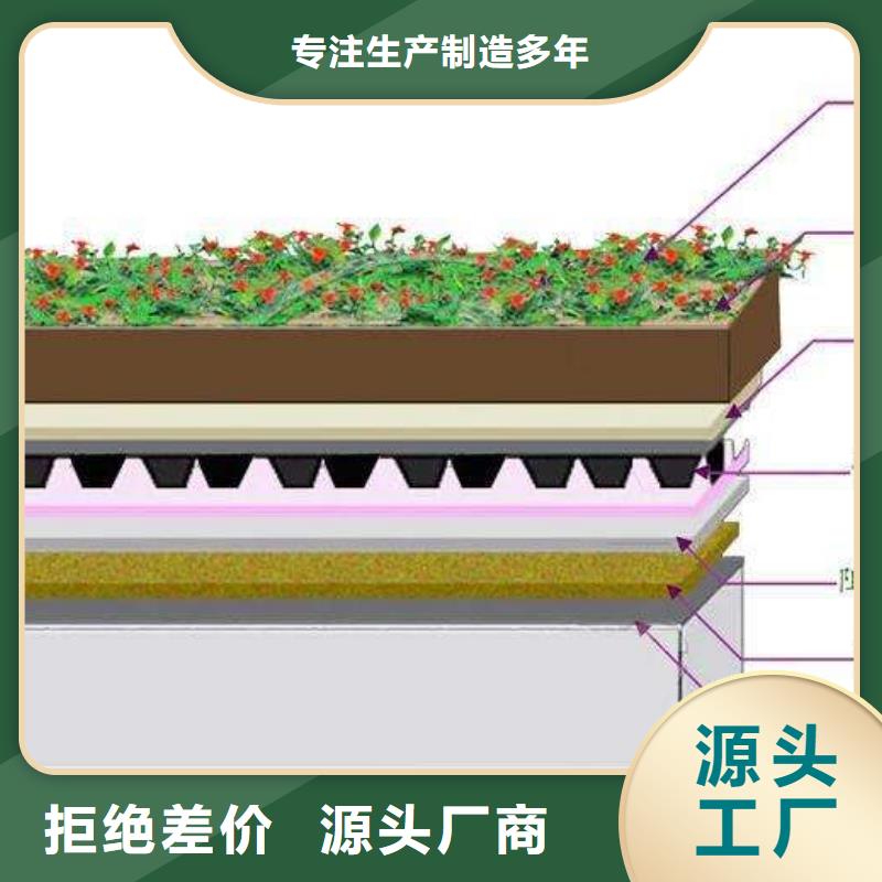 屋面车库顶板虹吸式雨水排水系统