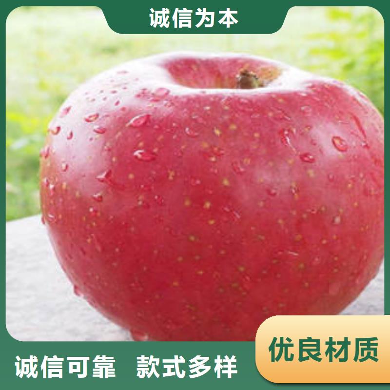 紅富士蘋果紅富士蘋果批發暢銷當地