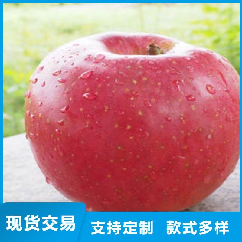 【紅富士蘋(píng)果】蘋(píng)果批發(fā)誠(chéng)信商家服務(wù)熱情