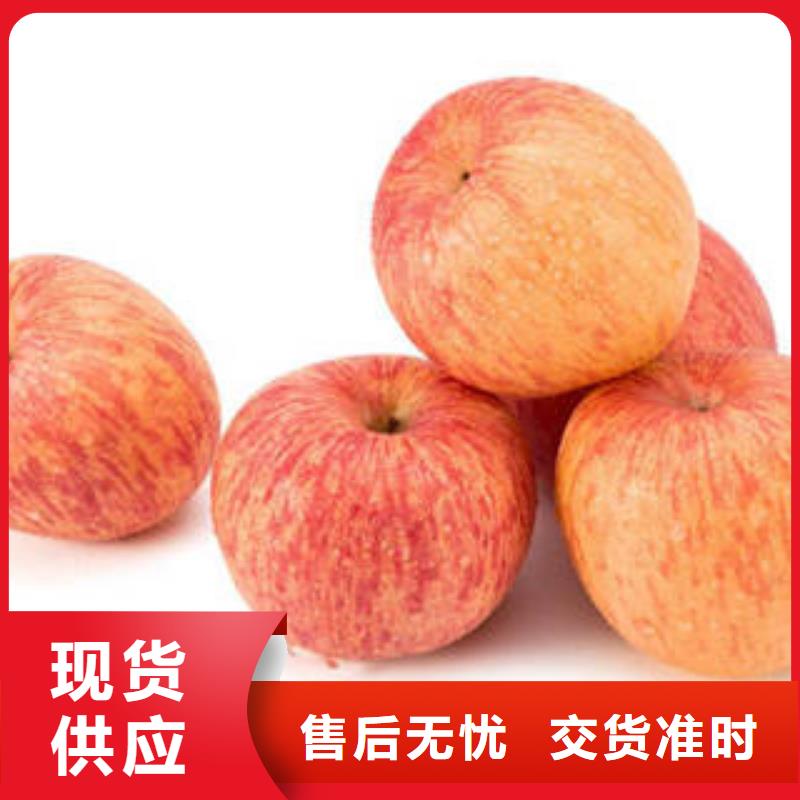 紅富士蘋果紅富士蘋果產地定制銷售售后為一體