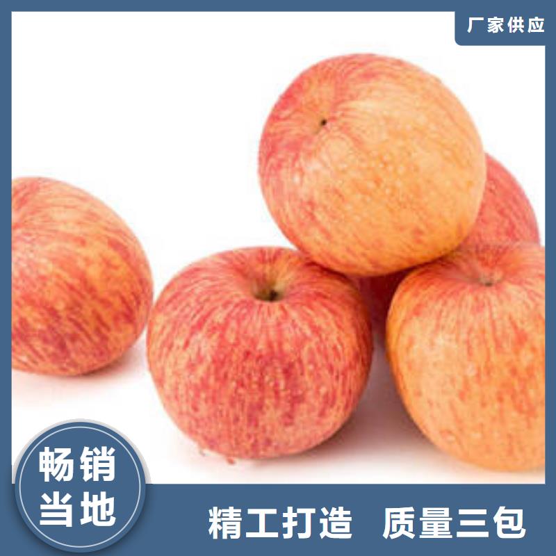 紅富士蘋果嘎啦蘋果優(yōu)選廠商