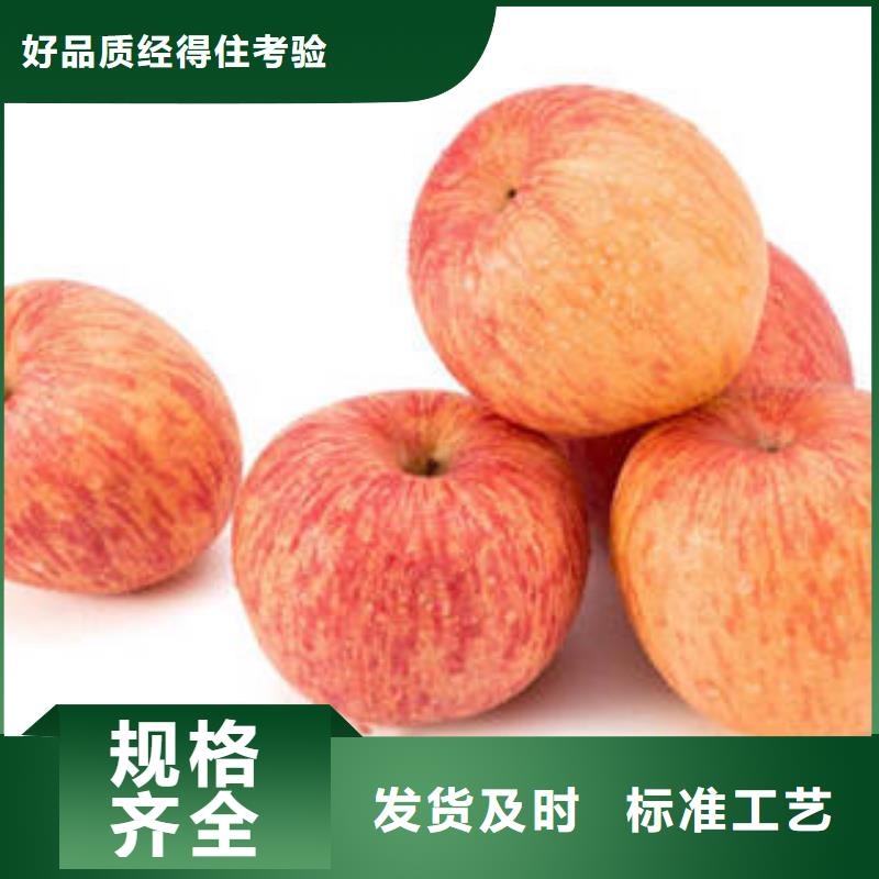 紅富士蘋果專業生產品質保證