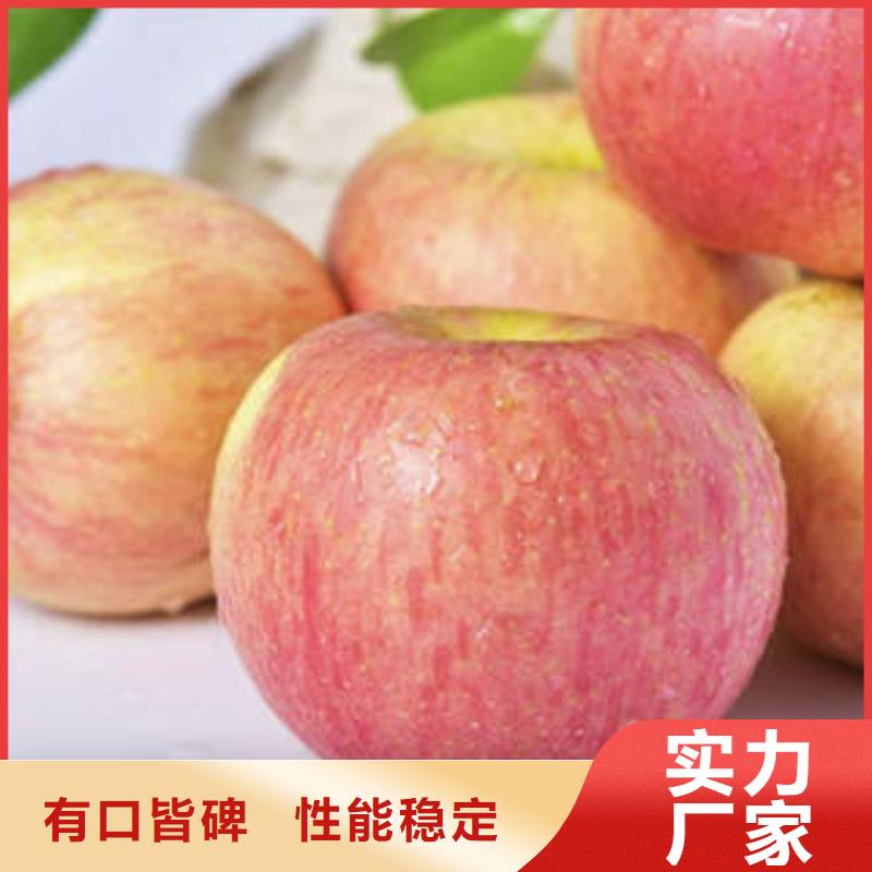 【紅富士蘋果】蘋果品質(zhì)保證