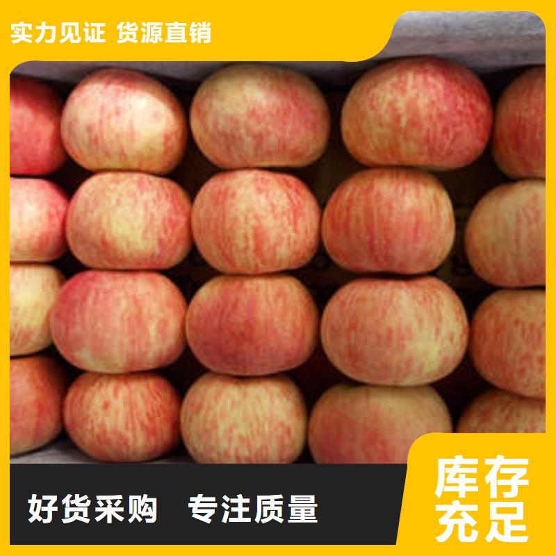 紅富士蘋果蘋果種植基地通過檢測