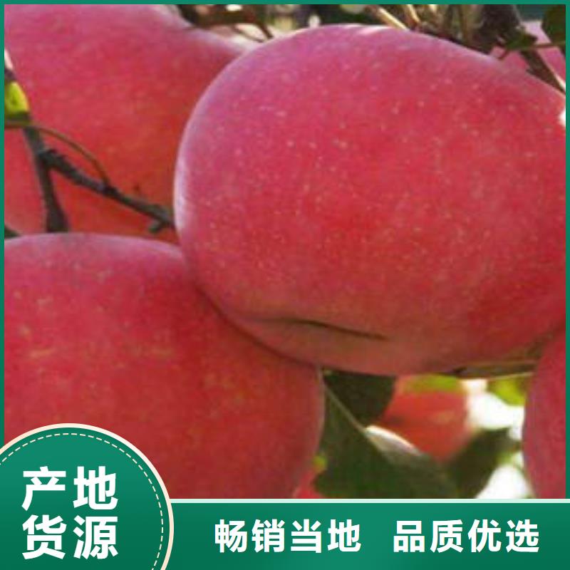 紅富士蘋果_蘋果批發自營品質有保障