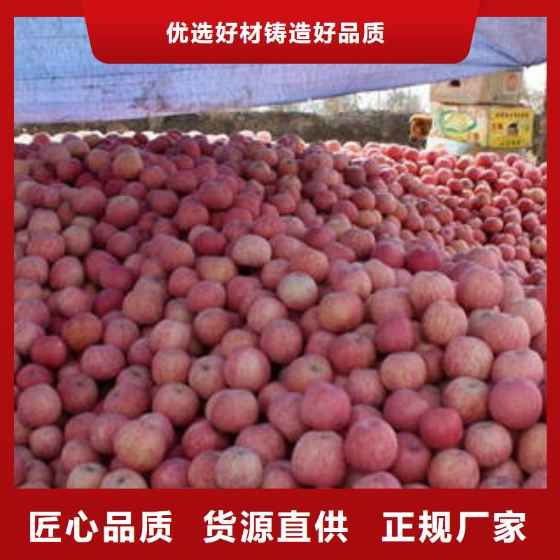 紅富士蘋果_蘋果種植基地價格低