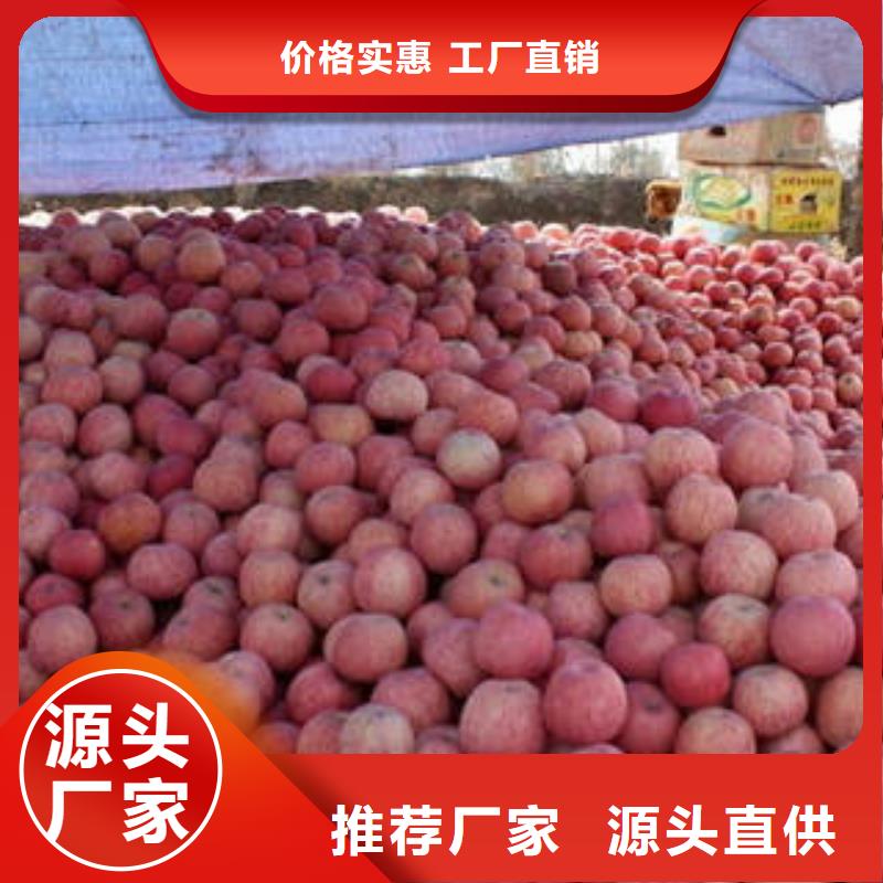 紅富士蘋果嘎啦蘋果就近發貨