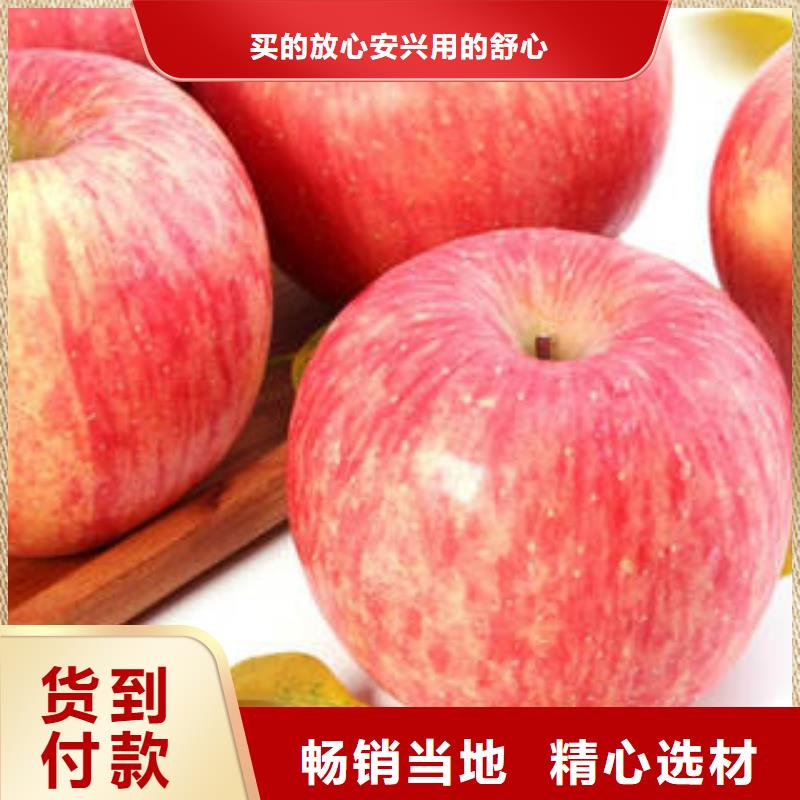 紅富士蘋果-蘋果種植基地可零售可批發(fā)