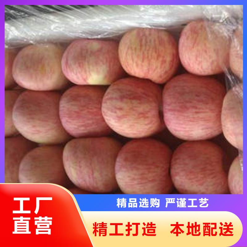 紅富士蘋(píng)果_蘋(píng)果種植基地源廠(chǎng)供貨