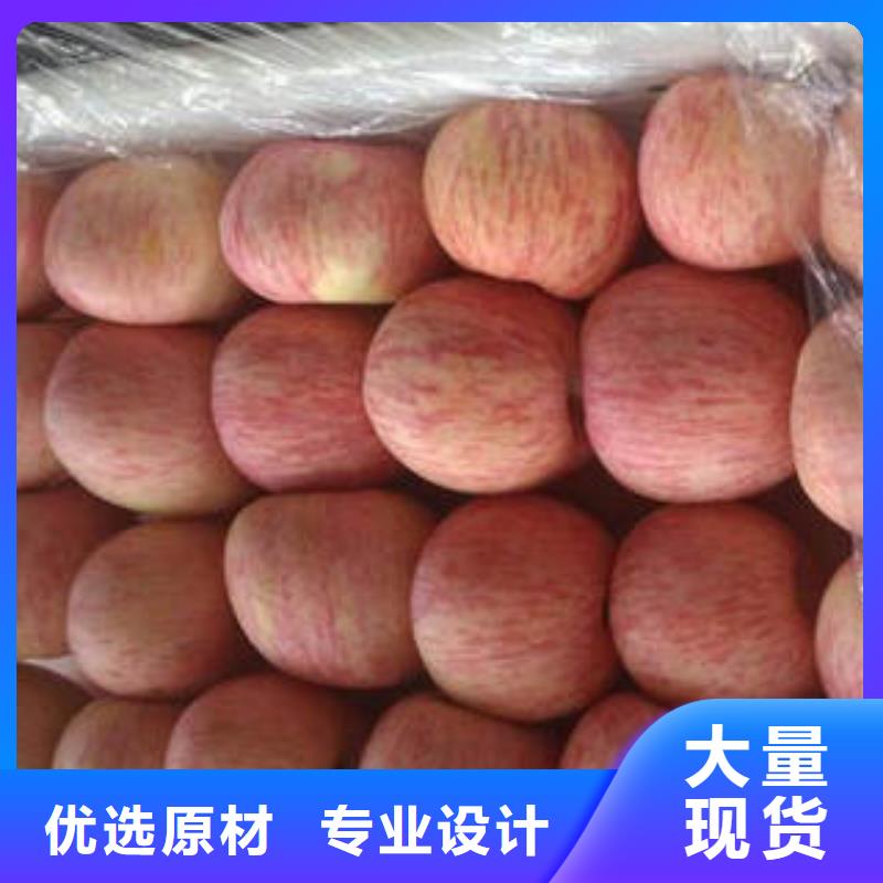 紅富士蘋果現貨銷售