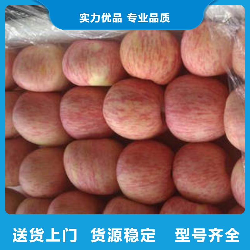 紅富士蘋果-蘋果種植基地0中間商差價(jià)