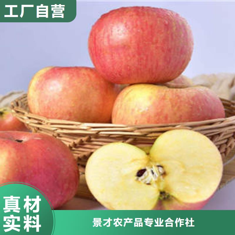 紅富士蘋果質量為本