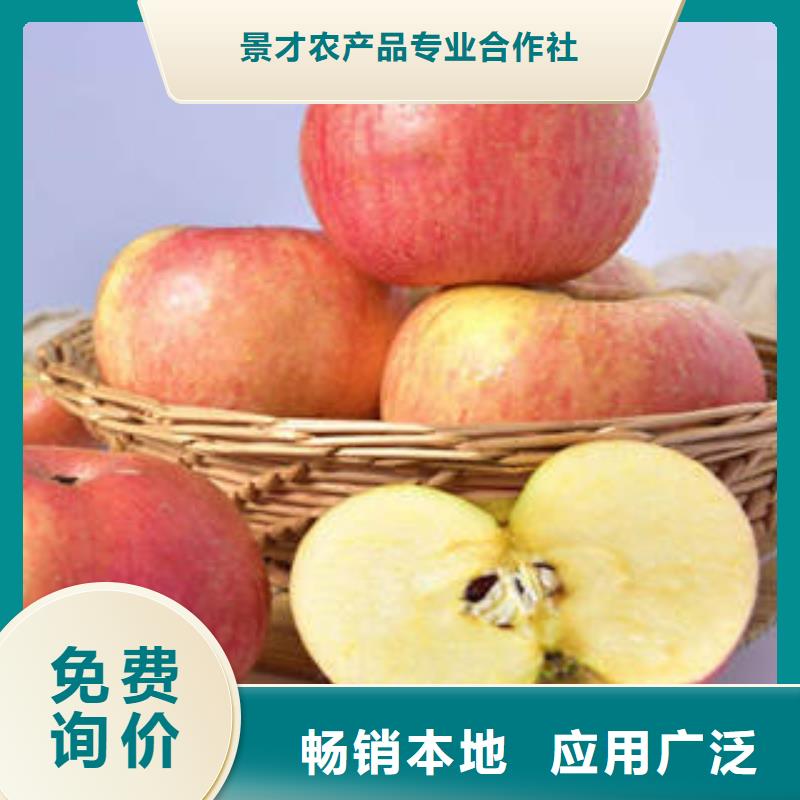紅富士蘋果,紅富士蘋果批發(fā)現(xiàn)貨充足量大優(yōu)惠