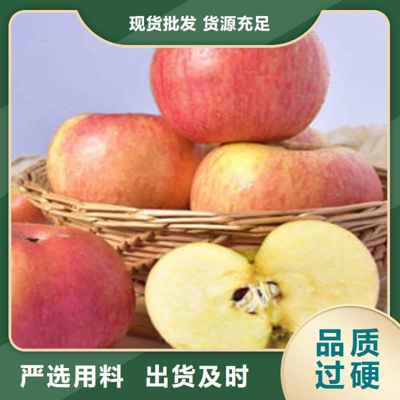 紅富士蘋果專業(yè)生產(chǎn)品質(zhì)保證