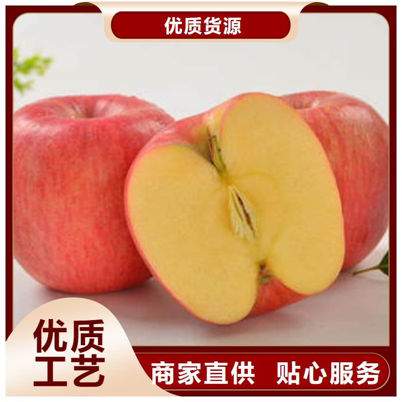 紅富士蘋果嘎啦果優選廠家