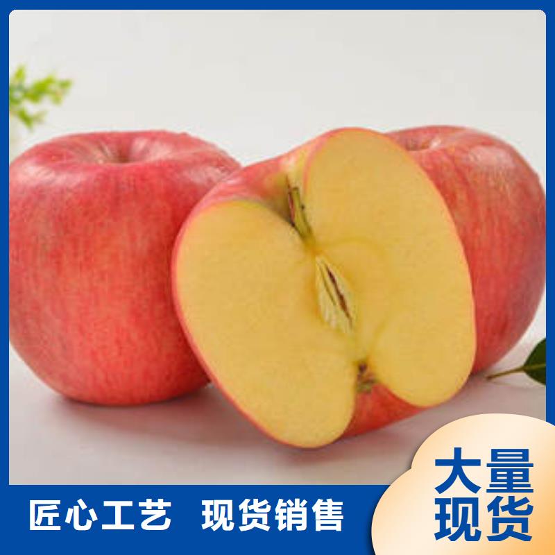 紅富士蘋果專業生產品質保證