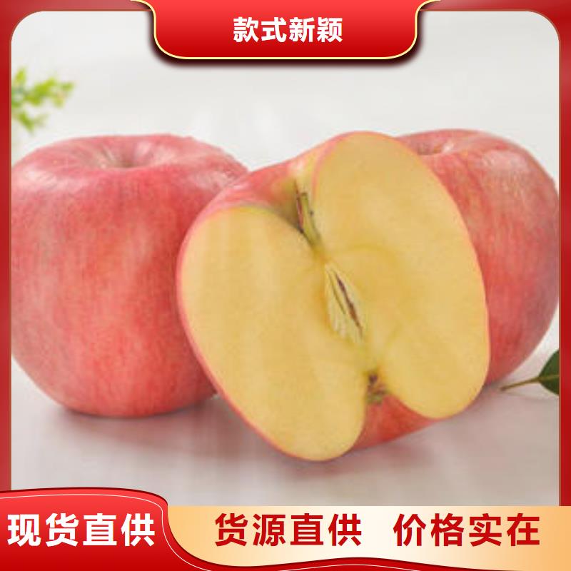 紅富士蘋果嘎啦蘋果優選廠商