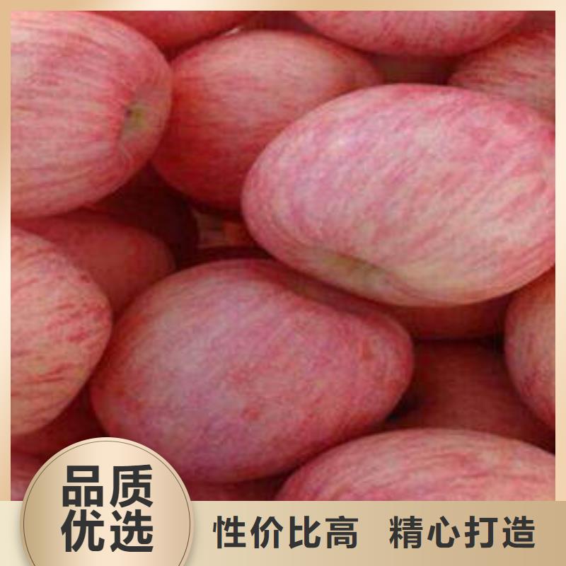 紅富士蘋果_蘋果批發敢與同行比質量