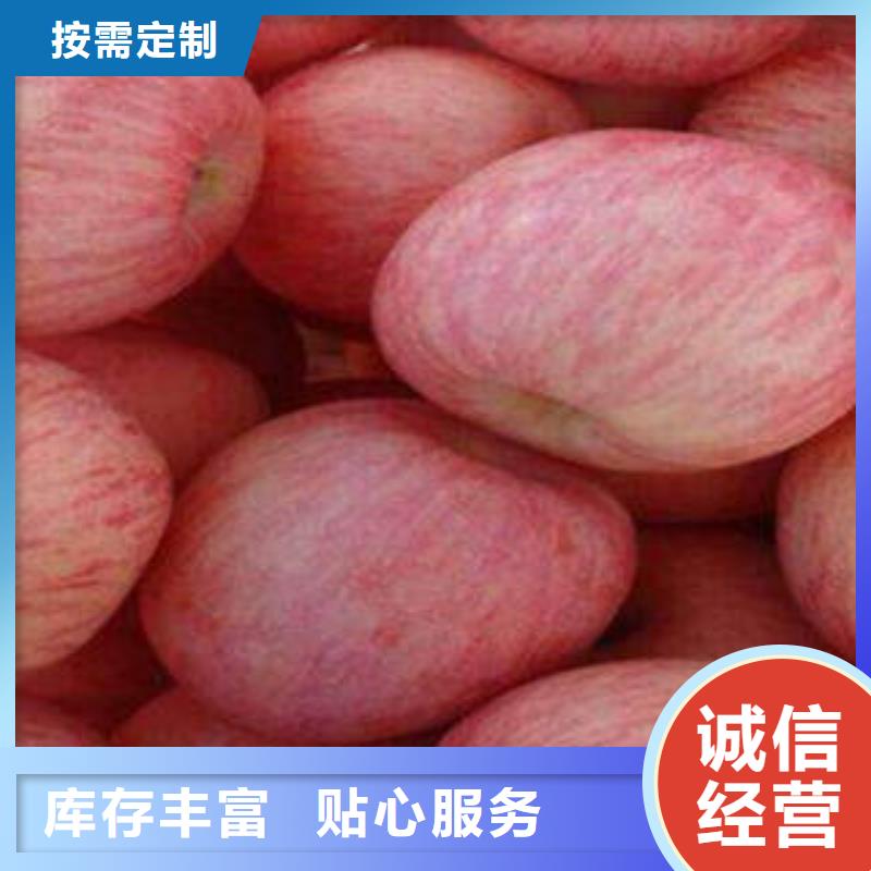 紅富士蘋果專業生產品質保證