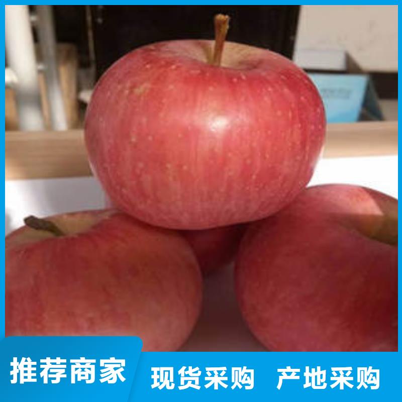 紅富士蘋果自營品質有保障