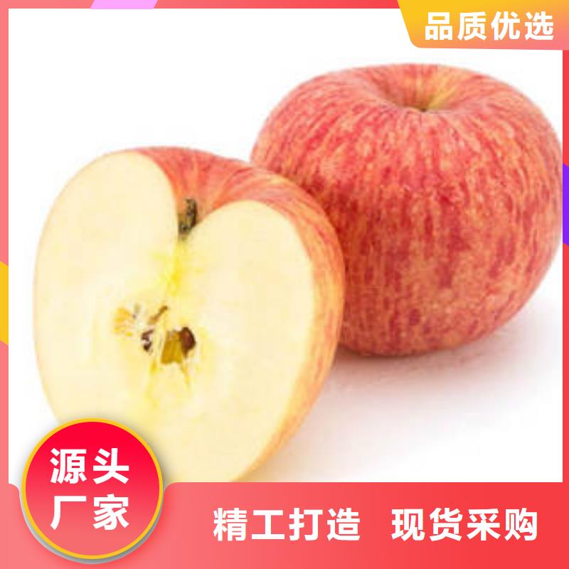 紅富士蘋果蘋果種植基地產品參數