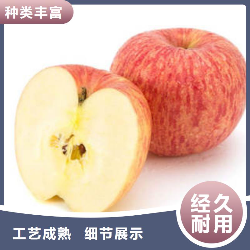 紅富士蘋果,紅富士蘋果批發(fā)現(xiàn)貨充足量大優(yōu)惠