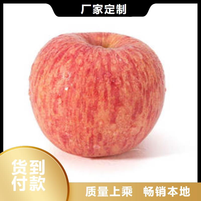 紅富士蘋果嘎啦果貨源報價